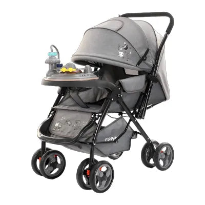 2013 STROLLER | 6309