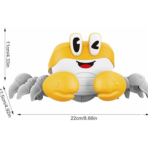 CRAWL CRAB | LMI-FD24003