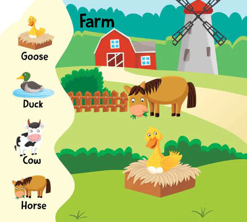 Animal World - Look and Find | EDS-06