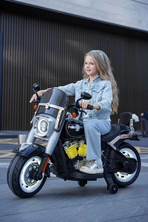 BIG SIZE BULLET BIKE | YML818
