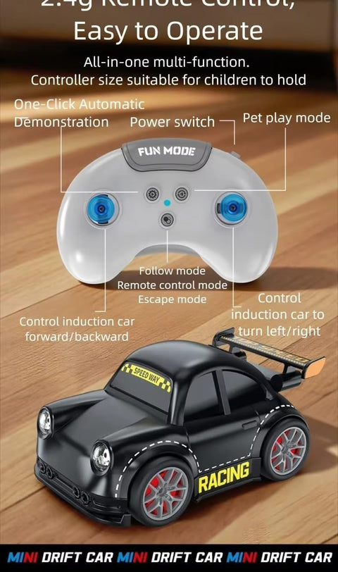 R/C MINI RACING CAR | 9980