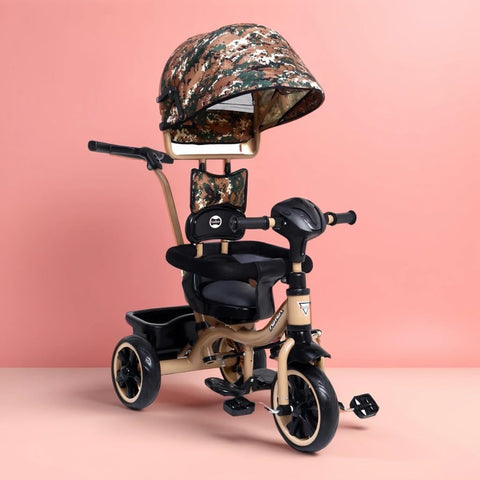 Aster 4 In 1 Tricycle for Kids | DASH-AS4