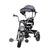 Harley Super Plus Tricycle with Canopy | TRI-HARSUP-01 | SUPER PLUS