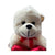 Stuffed Animals 8 Inch Cute Bear | TDNX062336