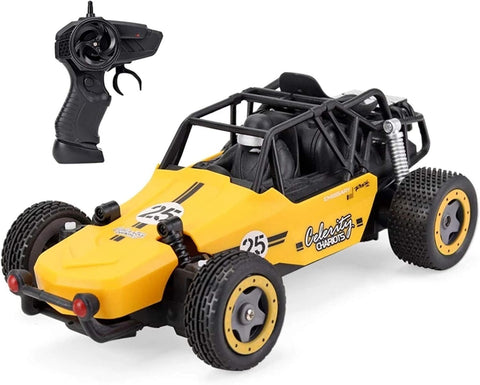 High Speed Race Buggy Car ( RC Truck ) | LMI-XB1024 ( COLOR MAY VERY )