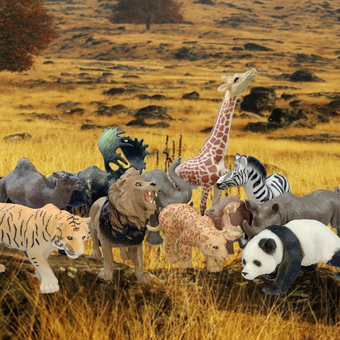 Animal 12Pcs | MD 605-12