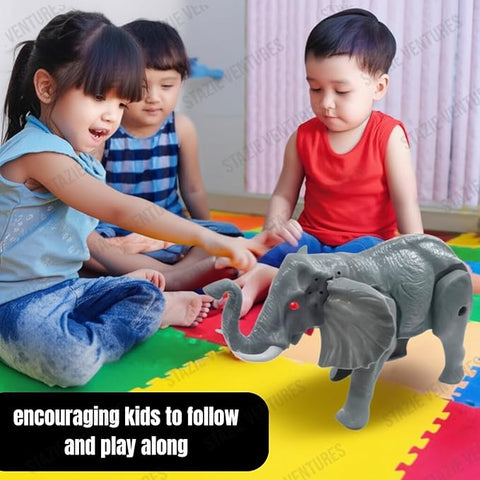 B/O ELECTRIC ELEPHANT | LMI-DW-002