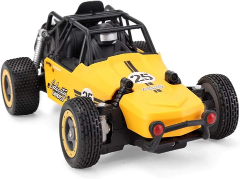 High Speed Race Buggy Car ( RC Truck ) | LMI-XB1024 ( COLOR MAY VERY )