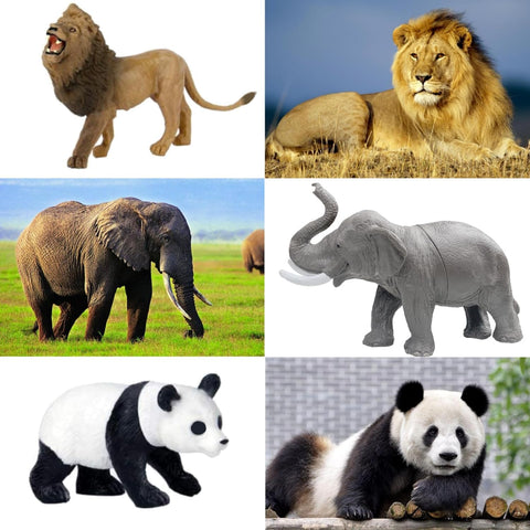 Animal 12Pcs | MD 605-12