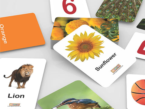 English Essential Mega Combo Flash Cards - Early Learning | NEENG34046