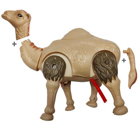 DESERT CAMEL | X222-24