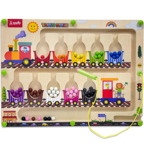 MAGNETIC MAZE TRAIN | FWP11