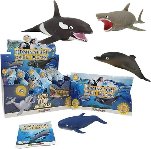 DOLPHIN 16PCS BOX | H35