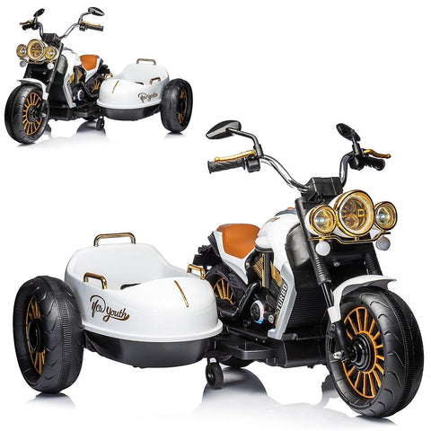 Electric motorcycle with sidecar | BDL-1588