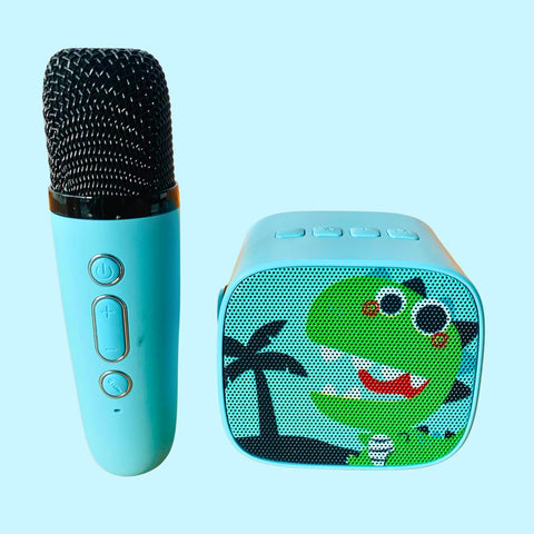 Portable Bluetooth Karaoke Speakers with Mic | 616-2017