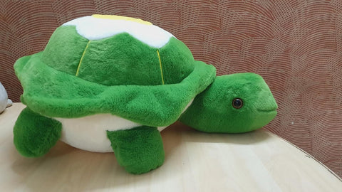 TURTLE | NXS2124-15TT