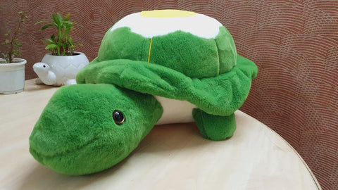 TURTLE | NXS2124-15TT