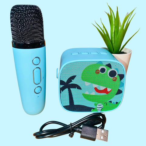 Portable Bluetooth Karaoke Speakers with Mic | 616-2017