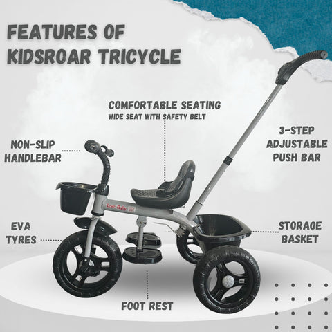 Stroller Tricycle No Canopy with Parental Push Handle | TRI-LB-580