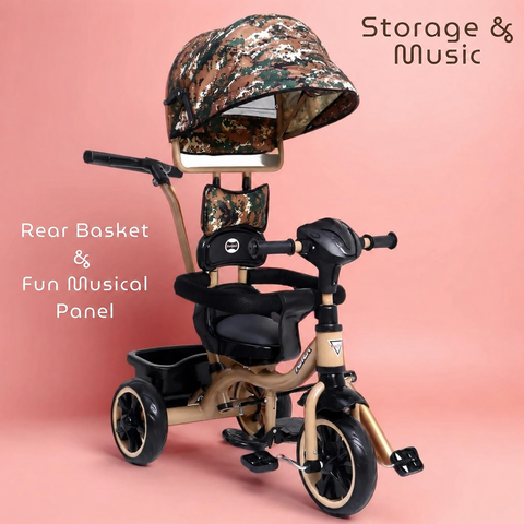 Aster 4 In 1 Tricycle for Kids | DASH-AS4