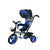 Tricycle with  Removable Canopy Parent Steering Push Handle | TRI-XR-09