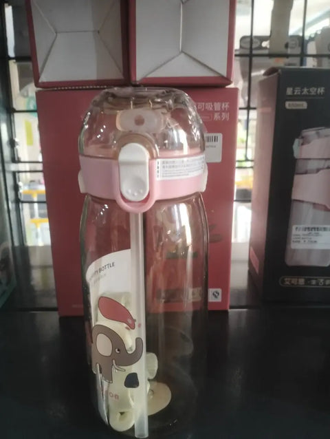 550ML WATER BOTTLE | ABL1024