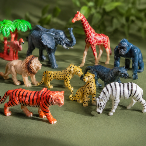 WILD TERRITORY ANIMALS | B14