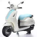 BIG SIZE VESPA HAND ACCELERATOR | FT-818