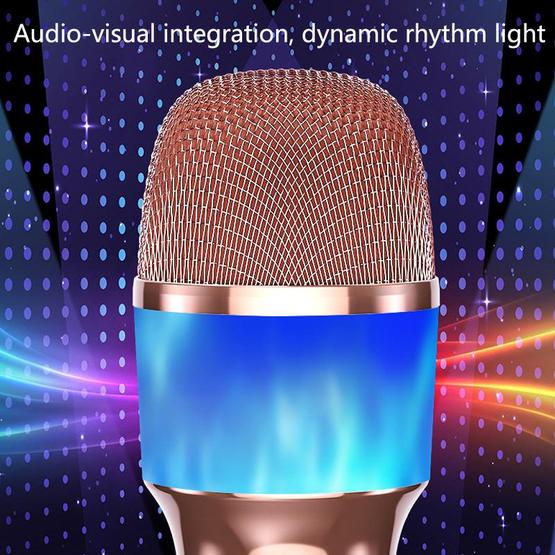 Bluetooth Microphone Wireless Silencing Applause Changing Tone | Q99 ...