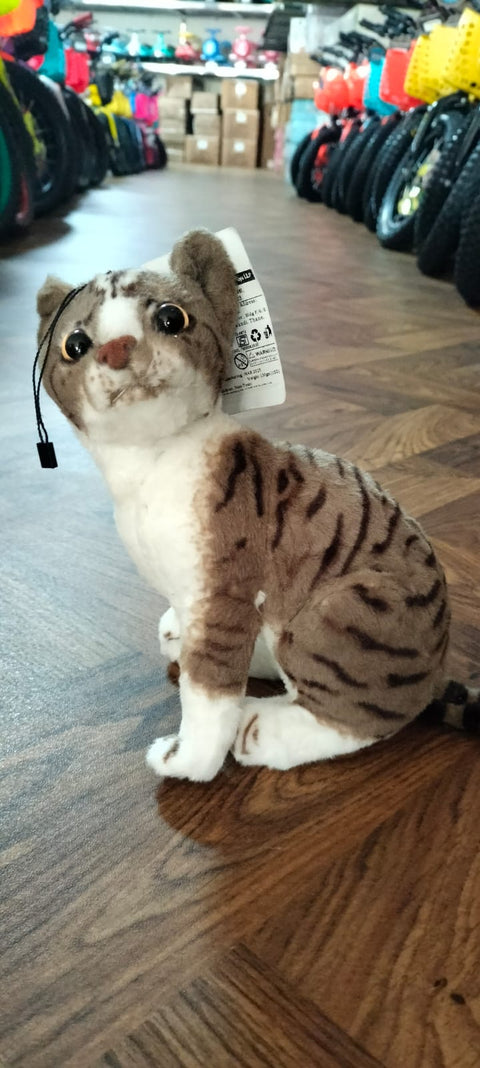 TINY KITTY | NXS-CTG20D
