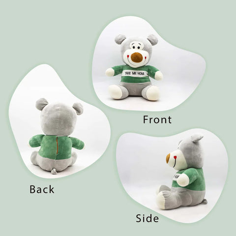 Soft Toys Bear |  TDNX062314
