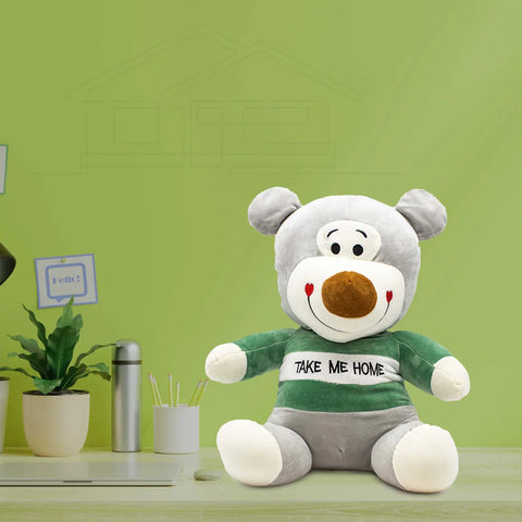 Soft Toys Bear |  TDNX062314