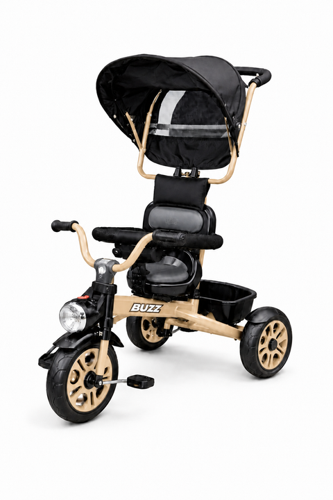 Buzz Tricycle with Canopy for Kids | DT-800