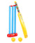 LEEMO Cricket Kit No. 4 - Multicolor | LOCRI04
