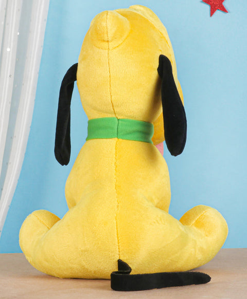 PLANET DOG 45CM | INT304