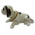 Multi Color Car Dashboard Toy, Shaking Head Dog Figurine | 8022 MOVING DOG