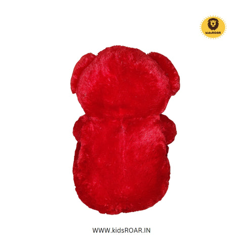 RED TEDDY 60CM | SR.NO3 SHAINING 60CM | TD0012